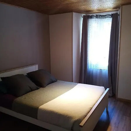 Appartement Soultzeren 度假居 Soultzeren